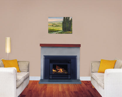 Masport LE 4000 Masonry ~ Fire & Fascia