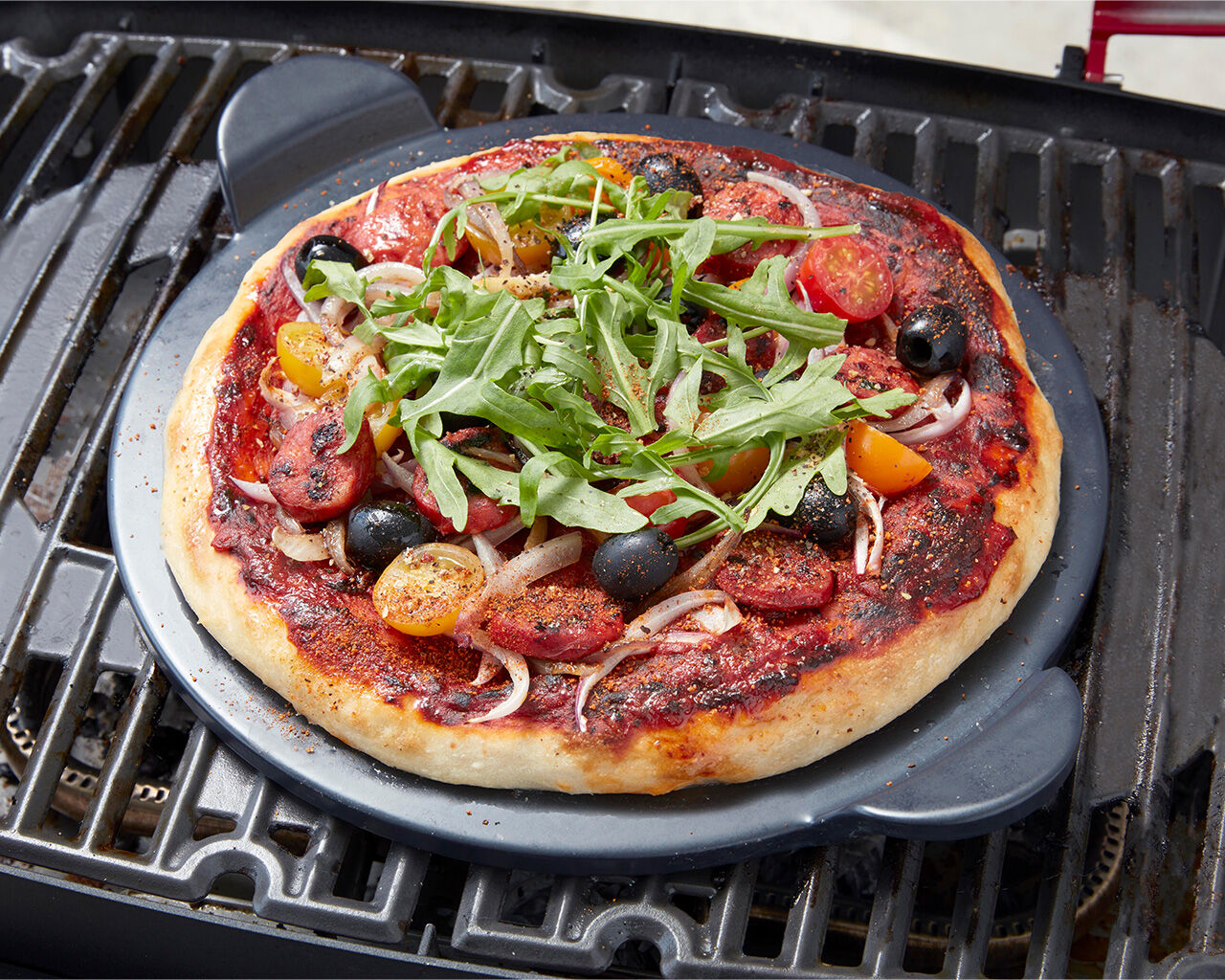 Ziggy By Ziegler & Brown Elite Twin Grill LPG On Cart (Gunmetal Grey)