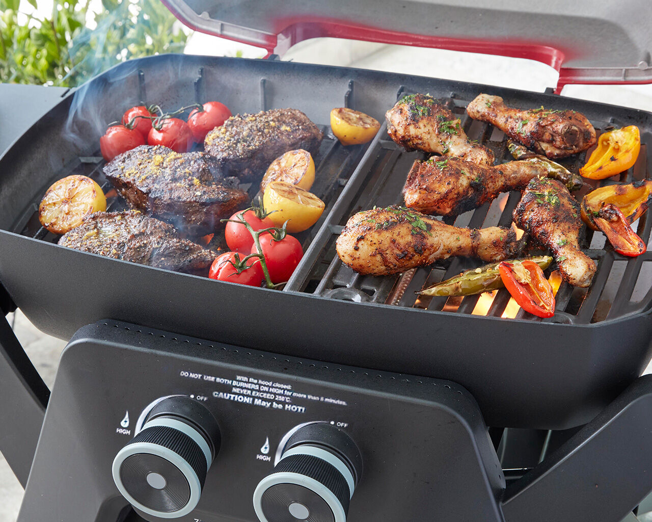 Ziggy By Ziegler & Brown Elite Twin Grill LPG On Cart (Chilli Red)